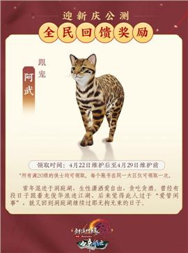 荣耀私服天龙八部